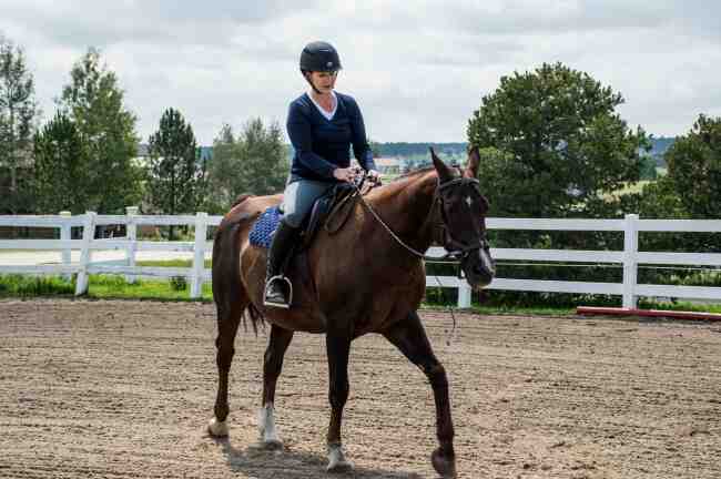Comment faire pour qu'un cheval engage ses postérieurs ?
