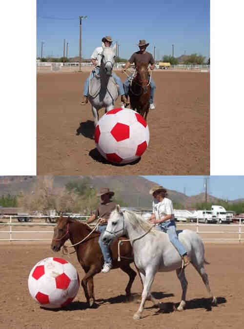Comment jouer au ballon avec son cheval ?